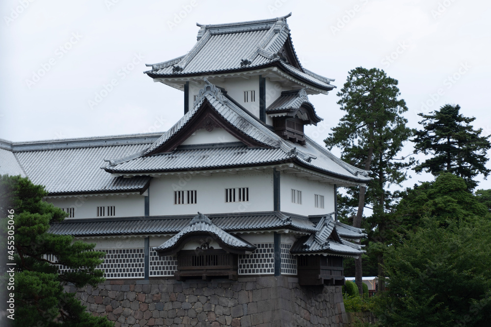 Fototapeta premium house