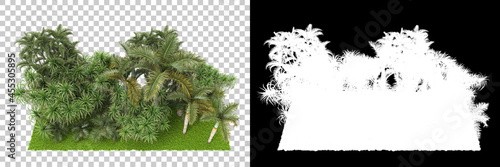 Fototapeta Naklejka Na Ścianę i Meble -  Palm tree forest isolated on background with mask. 3d rendering - illustration