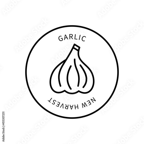 Garlic Line Icon In Simple Style. New Harvest. Vector sign in a simple style isolated on a white background.