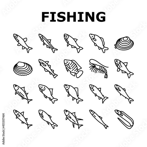 Commercial Fishing Aquaculture Icons Set Vector. Japanese Cockle And Anchovy, Common And Silver Carp, Rohu And Catle Fish, Chub Mackerel And Yellowfin Tuna Fishing Business Black Contour Illustrations
