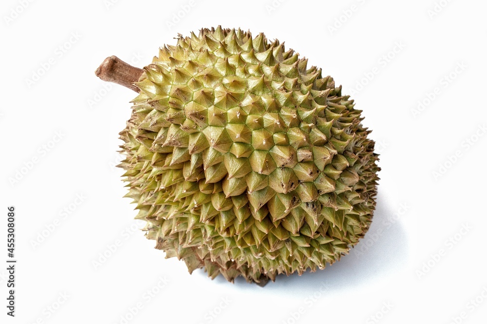 durian isolated on white durian isolated on white
