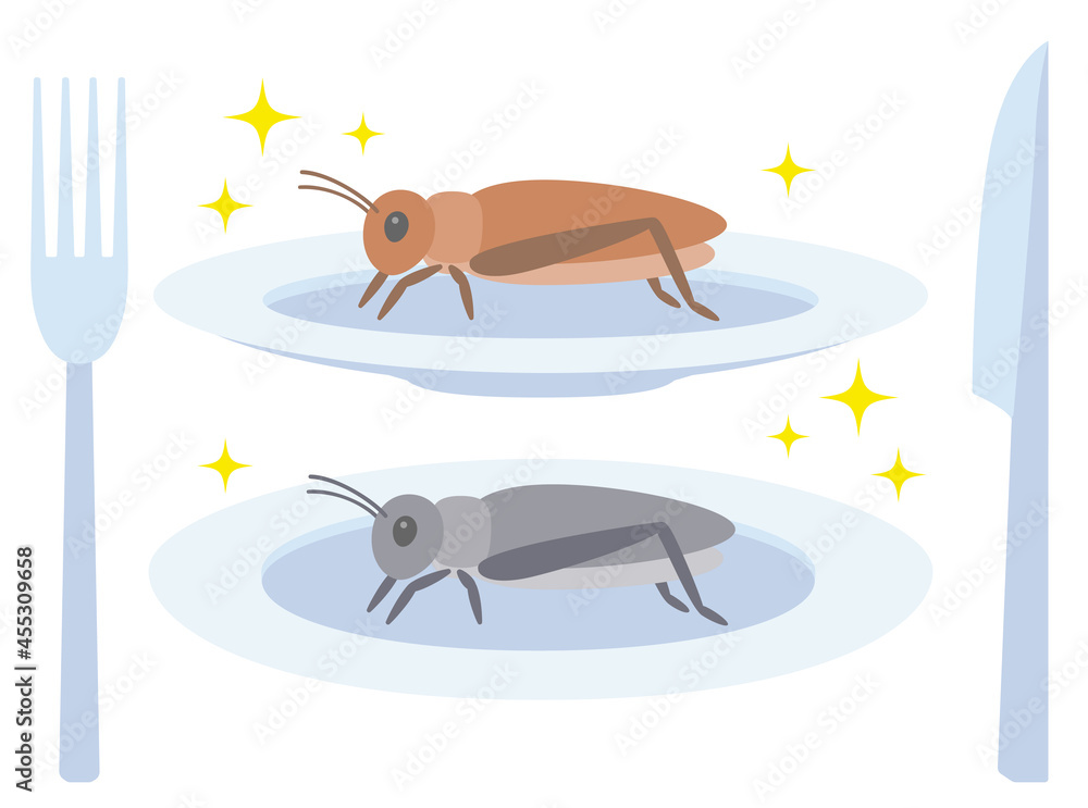 食用コオロギが昆虫食として ２つの角度のお皿にのっているイラスト Stock Vektorgrafik Adobe Stock