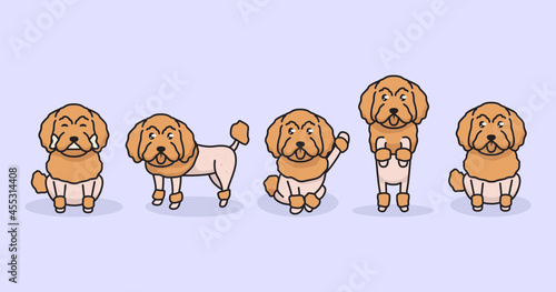 Cute dog poodle mascot logo design