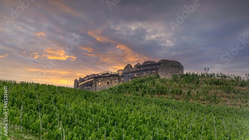 Taggenbrunn Castle Carinthia photo