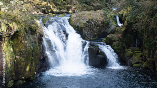 waterfall in the forest