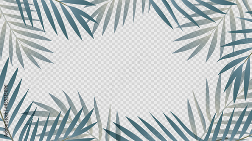 Exotic Palm Plants and Leaves frame  isolated on transparent background ,  Flat Modern design , Illustration Vector  EPS 10