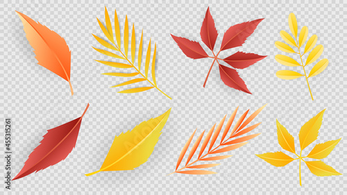  leaves Autumn seasonal background frame and autumn isolated on transparent background , Flat Modern design , Illustration Vector EPS 10