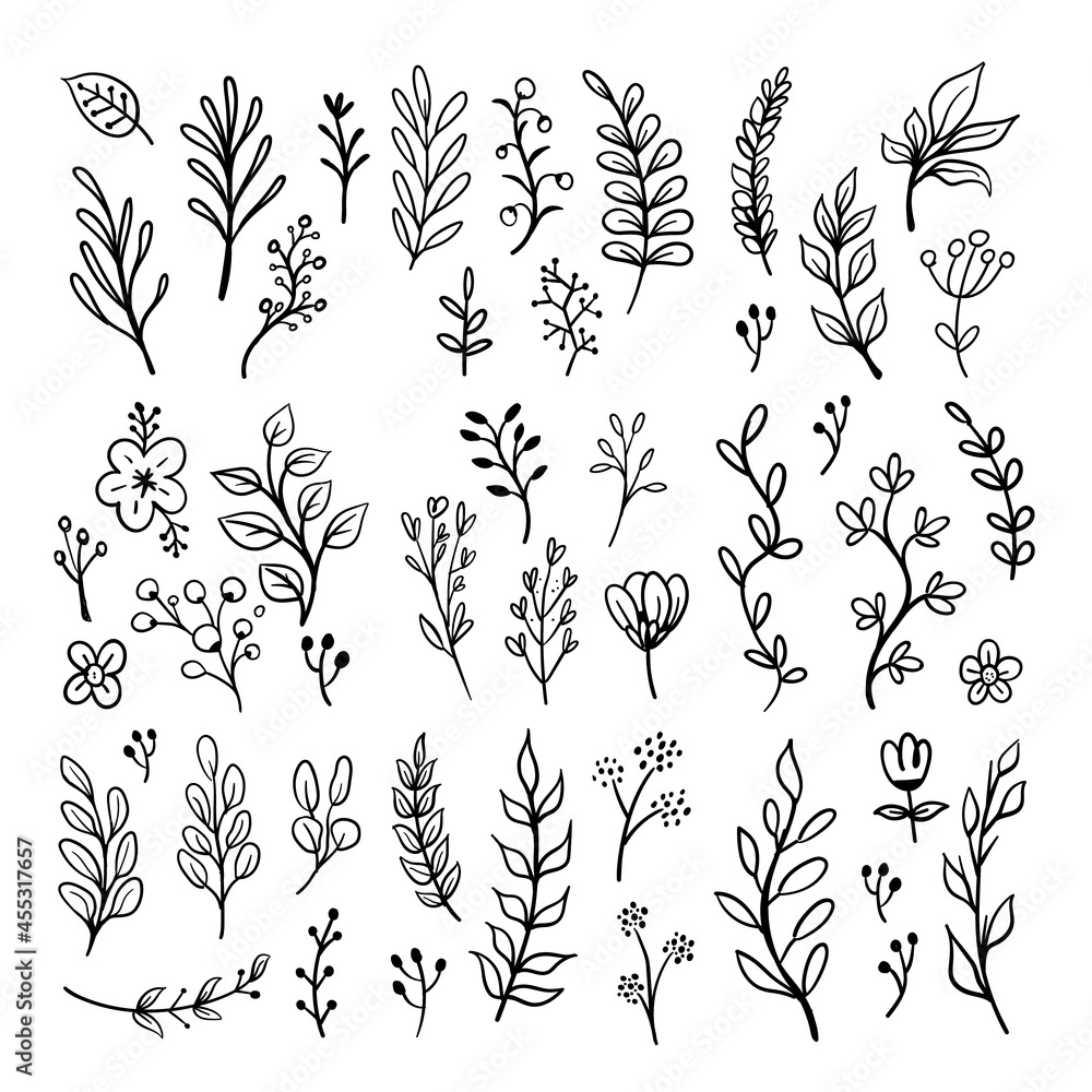 Fototapeta premium Floral doodles graphic elements vector set. Flowers and plants hand drawn illustrations.