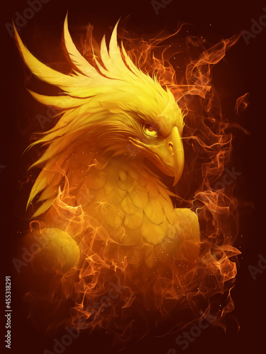 Burning phoenix head on the dark background. Digital painting. photo