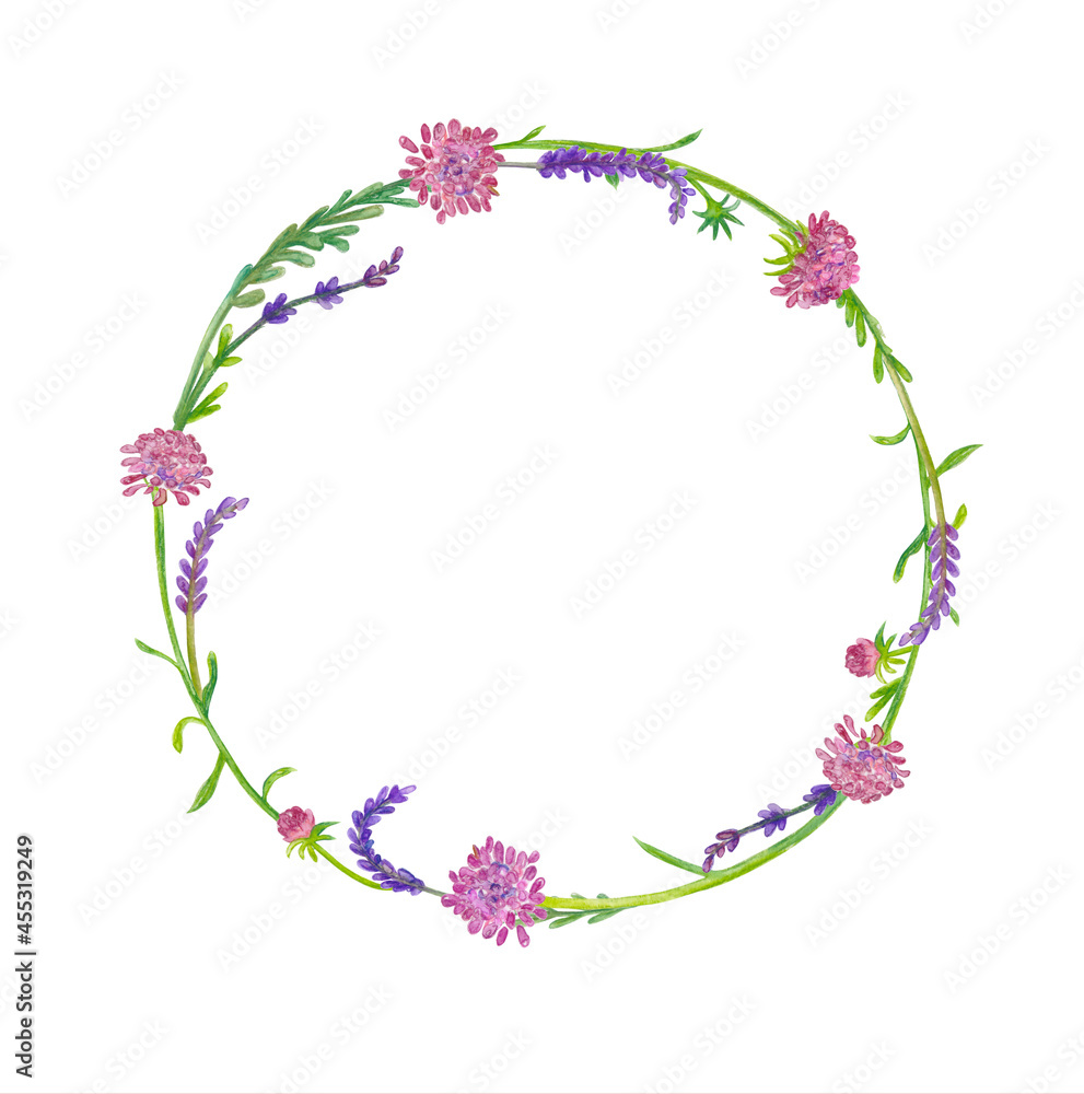 graceful wreath with meadow wild flowers and plants on white background. watercolor painting