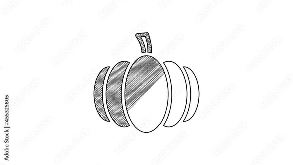 Black line Pumpkin icon isolated on white background. Happy Halloween party. 4K Video motion graphic animation Black line Pumpkin icon isolated on white background. Happy Halloween party. 4K Video motion graphic animation