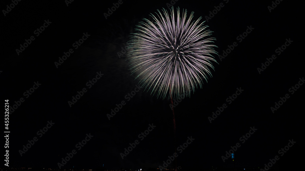 fireworks in the night sky