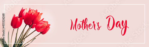 Bouquet of beautiful red spring tulips flowers on pastel pink background. Valentines day, mothers day, womens day concept.