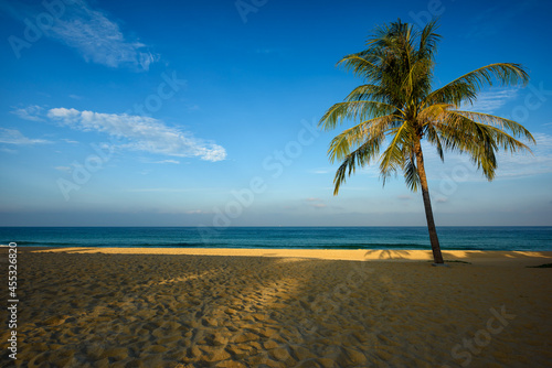 Coconut tree on a tropical island with beautiful beach