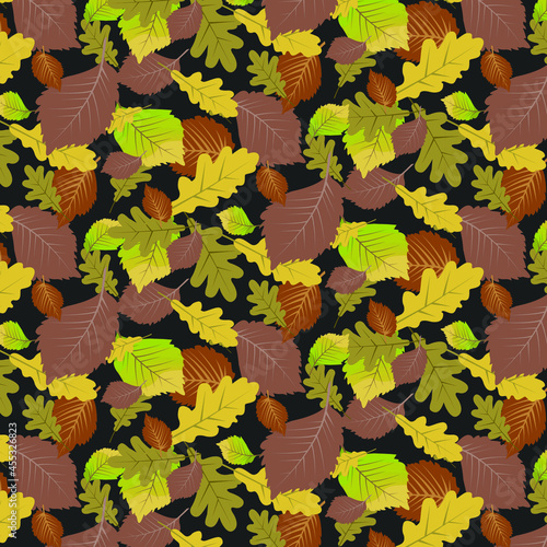 Autumn background illustration on a black background with scattered multicolored oak and elm leaves close-up