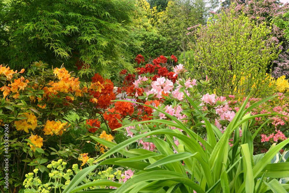 Blumen 1376 Blumen 1376