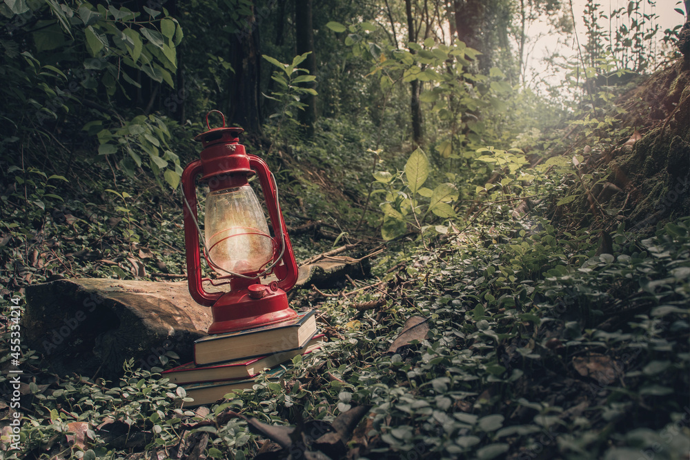 Farol rojo sobre libros, en medio del bosque.