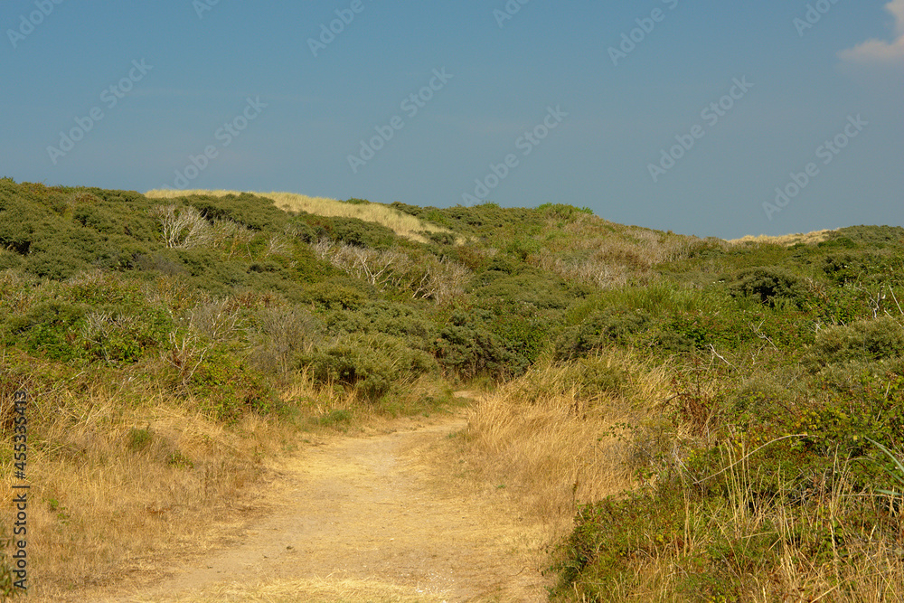 Path through a dune landscape along the Opal North Sea coast Path through a dune landscape along the Opal North Sea coast