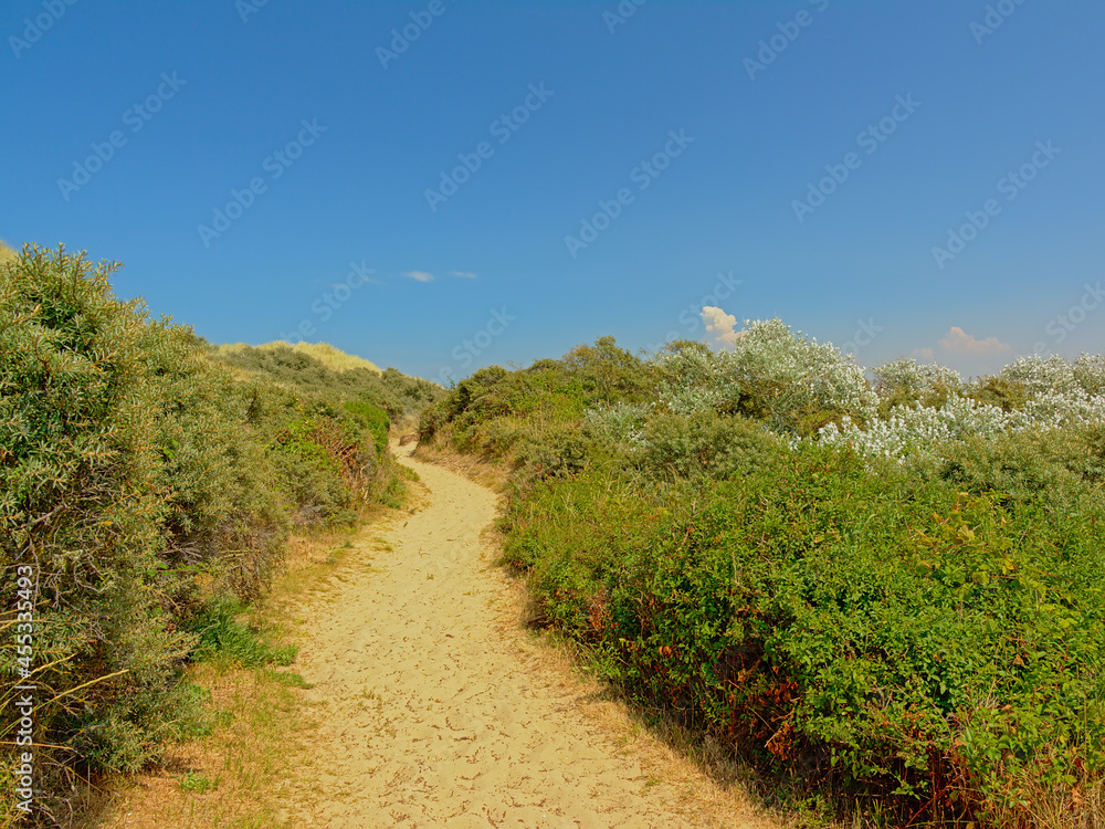 Path through a dune landscape along the Opal North Sea coast