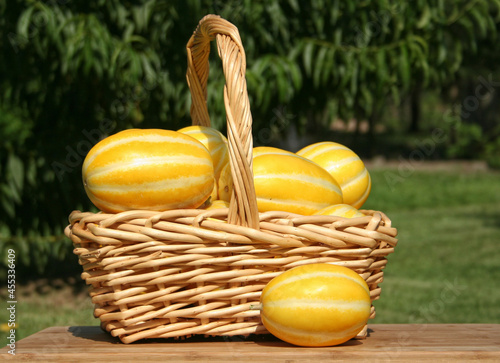 Closeup shot of Cucumis melons in the Summer vegetable harvest
