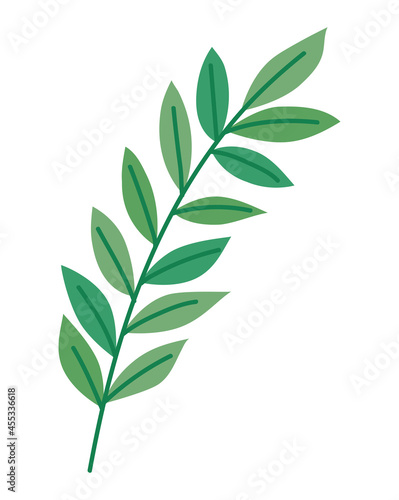 leaves branch icon