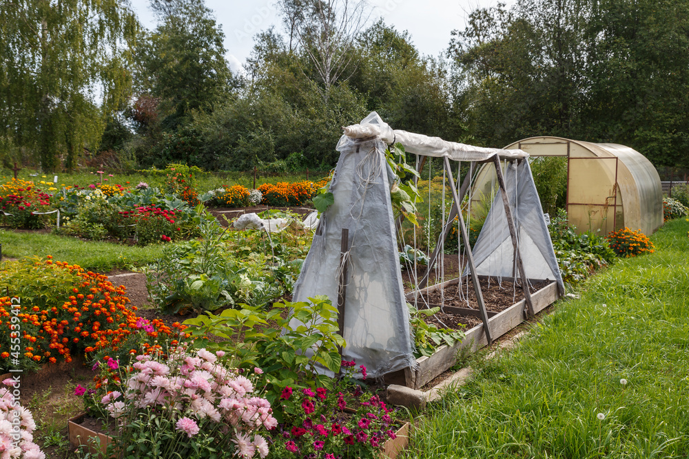 Vegetable garden with flowers and greenhouses on a summer day.