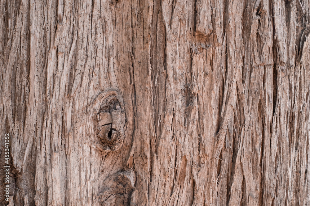 Wood texture, old wood background Wood texture, old wood background