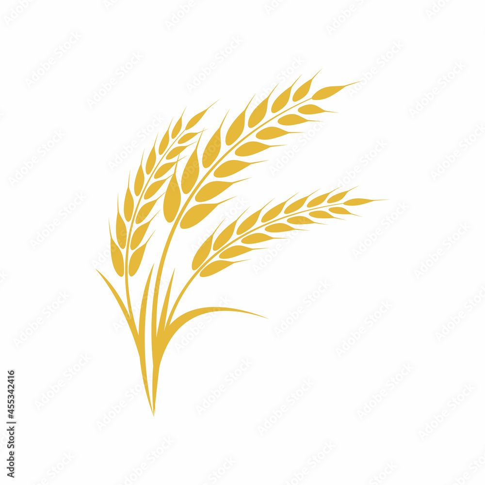 Agriculture wheat vector icon design Agriculture wheat vector icon design