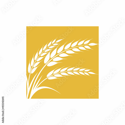 Agriculture wheat vector icon design
