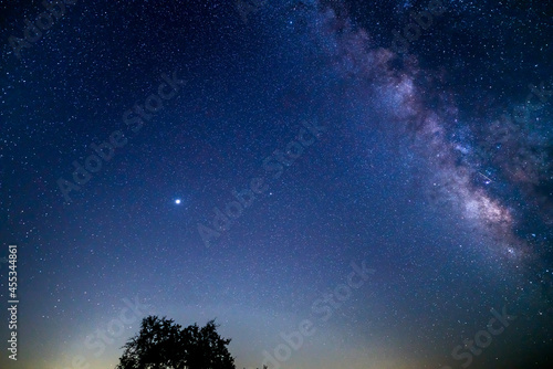 Fototapeta Naklejka Na Ścianę i Meble -  Looking at the North Star Over Top of Tree With Milky Way on the Side