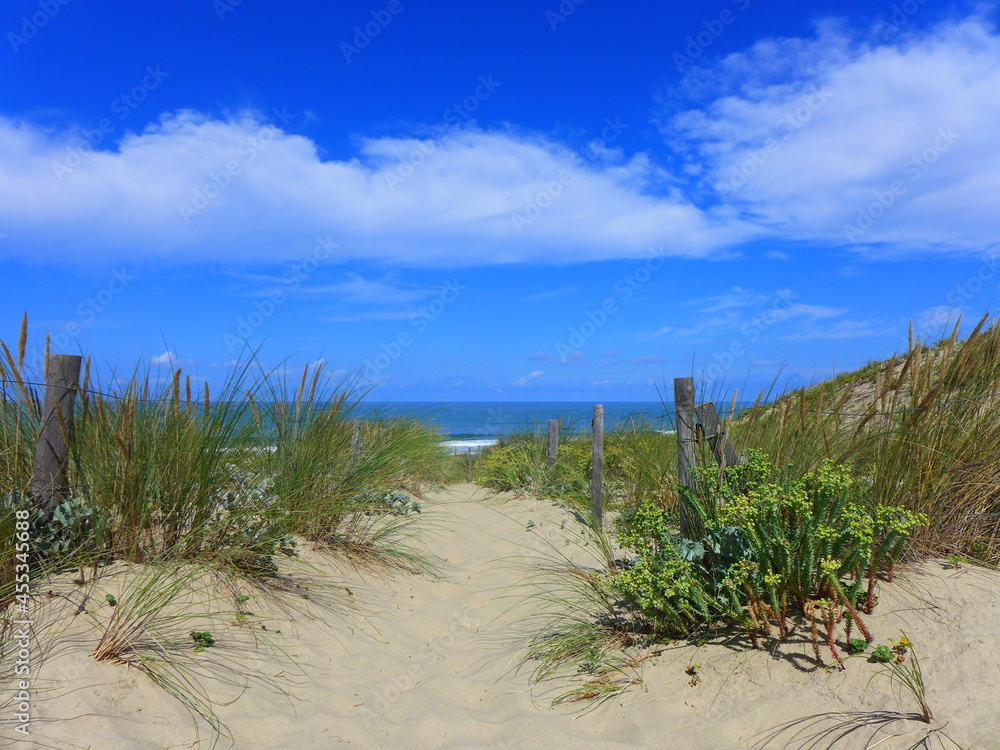 Strand und Strandzugang am Atlantik bei Montalivet Strand und Strandzugang am Atlantik bei Montalivet