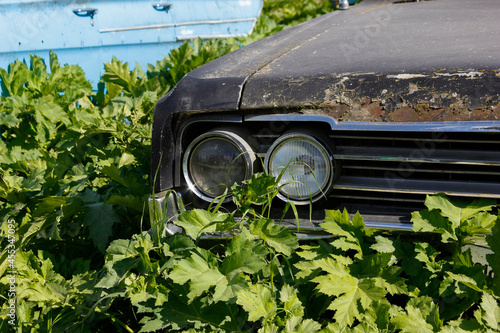 Old abandoned rusty vehicles, crushed cars in junkyard. Cars recycling concept.