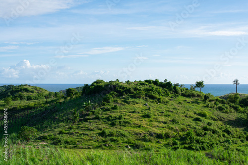 beachside hill background covered with green grass and trees
