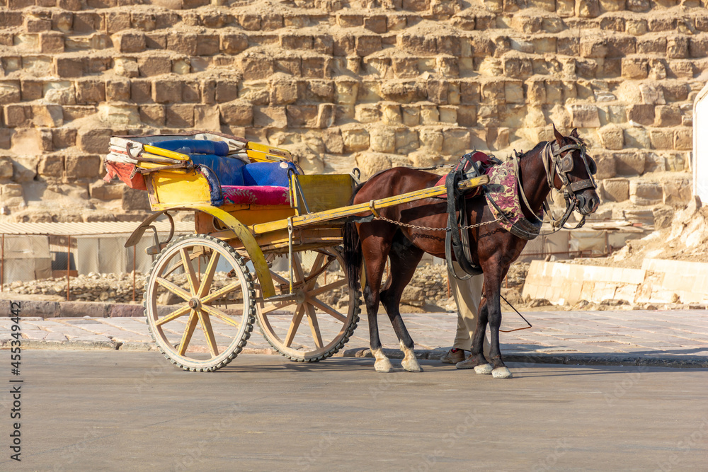 Horse carriages against the background of the pyramid of the Giza Valley