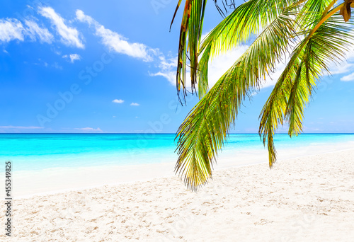 Fototapeta Naklejka Na Ścianę i Meble -  Coconut palm leaves against blue sky and beautiful beach in Punta Cana, Dominican Republic.