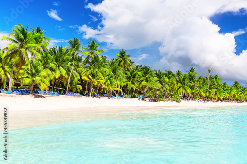 Fototapeta Naklejka Na Ścianę i Meble -  Coconut Palm trees on white sandy beach in Saona island, Dominican Republic.