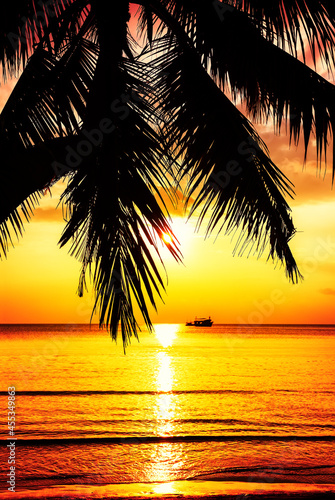  Coconut palm tree against colorful sunset on the beach in Phuket, Thailand.