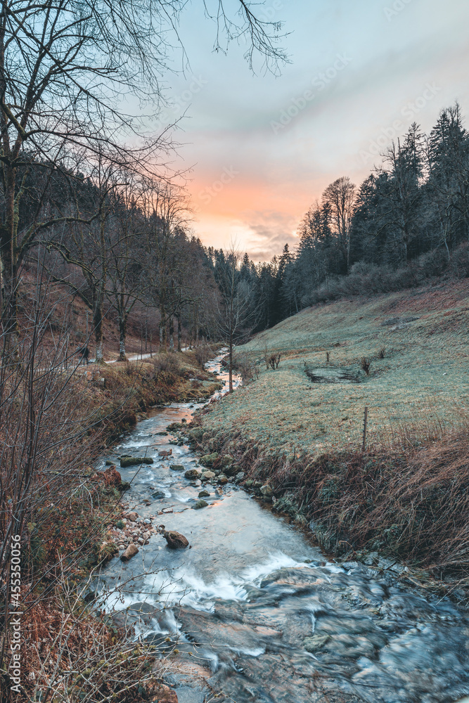 Winter im Schwarzwald