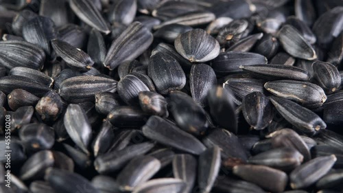 The sunflower seeds on a plate close-up. The sunflower seeds after harvest. Pile of Dried Sunflower Unpeeled Seeds, a Healthy Source of Vitamins in Vegan Food.