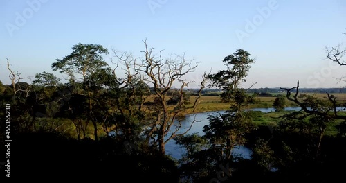 Aerial view of floodplain landscapes of river Mulde, seen from the Loreley near Oelschtz (Saxony). View over treetops with a river and a floodplain landscape (German: Muldental) at the golden hour.