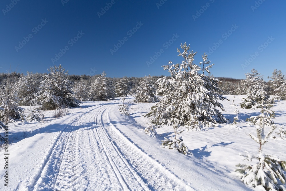 Frost and snow covered road in winter forest landscape background with tire tracks