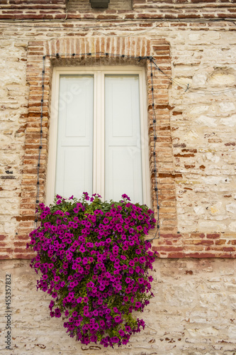 Window of the town hall of Numana with fuchsia flowers, Marche - Italy