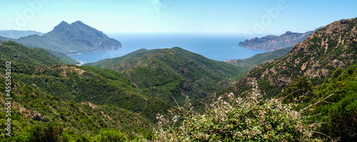 Fototapeta Naklejka Na Ścianę i Meble -  Cape Corse, Corsica