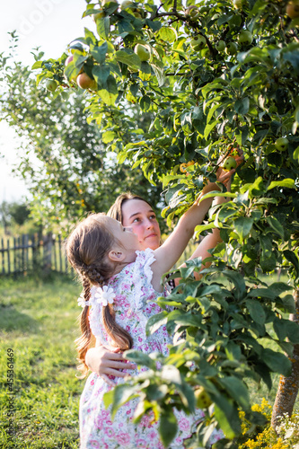 Fotografie sisters pluck apples from a tree