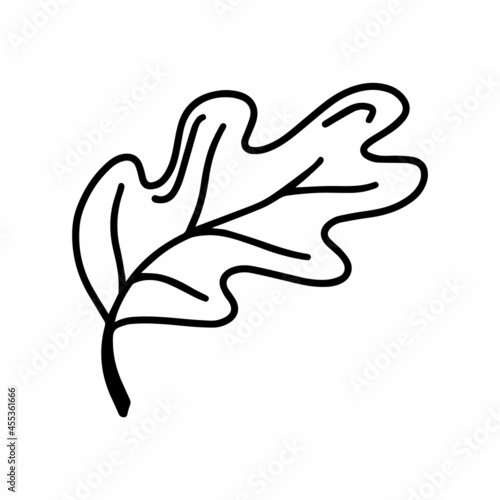 Cute doodle autumn vector oak leaf isolated on white on white background. Hand drawn vector illustration for coloring page and art books for adults and kids.