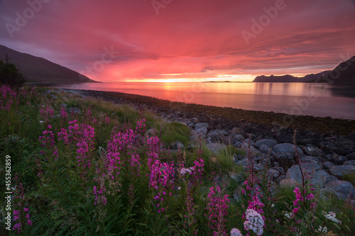 Senja Sunset - Norway