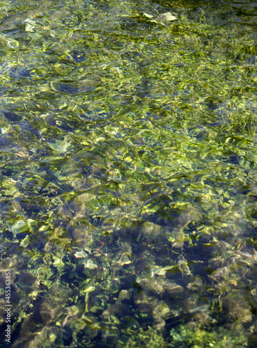 green reflections on water in Umbria