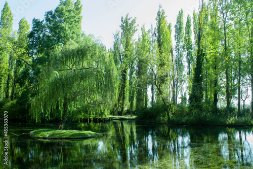 green reflections on water in Umbria