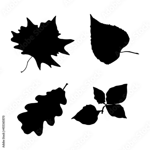Black silhouettes of autumn leaves: oak, maple, alder, linden. Fall nature tree leaves. Isolated white background.