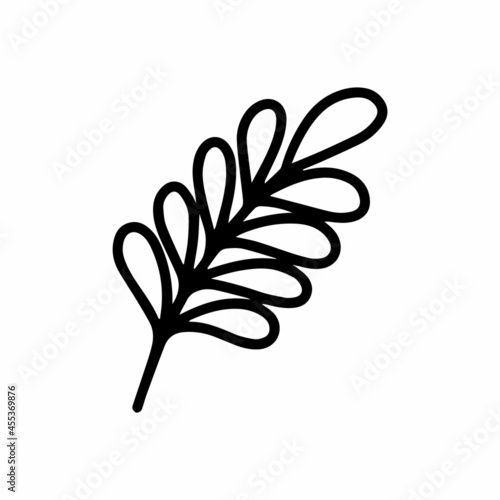 Vector tropical acacia leaf isolated on white background. Funny coloring and cute illustration for seasonal design, textile, decoration kids playroom or greeting card. Hand drawn prints and doodle.